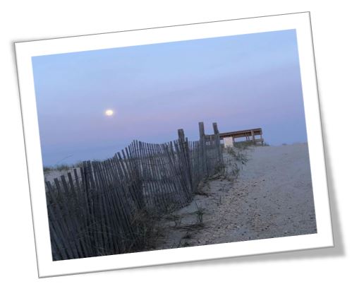 Things to Look For in a Post-Sandy Home Inspection on Long Beach Island